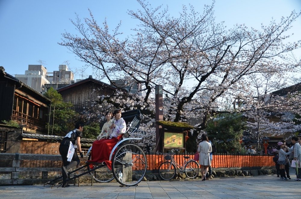 Six Enchanting Destinations to See Cherry Blossoms