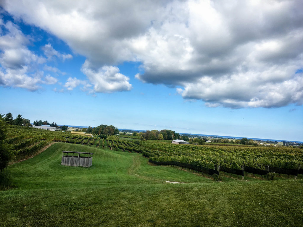 The Vineyards At Niagara-on-the-Lake